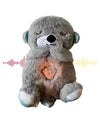 SLEEPING TEDDY BEAR