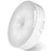Intelligent induction lamp-portable light