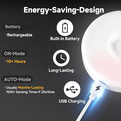 Intelligent induction lamp-portable light