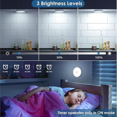 Intelligent induction lamp-portable light