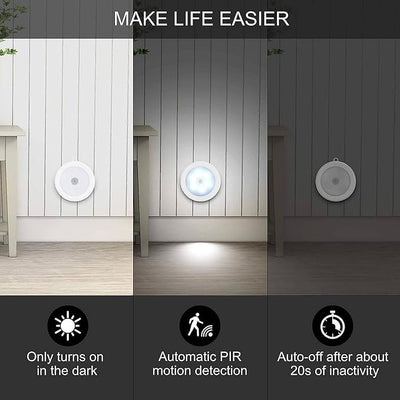 Intelligent induction lamp-portable light