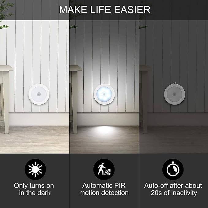 Intelligent induction lamp-portable light